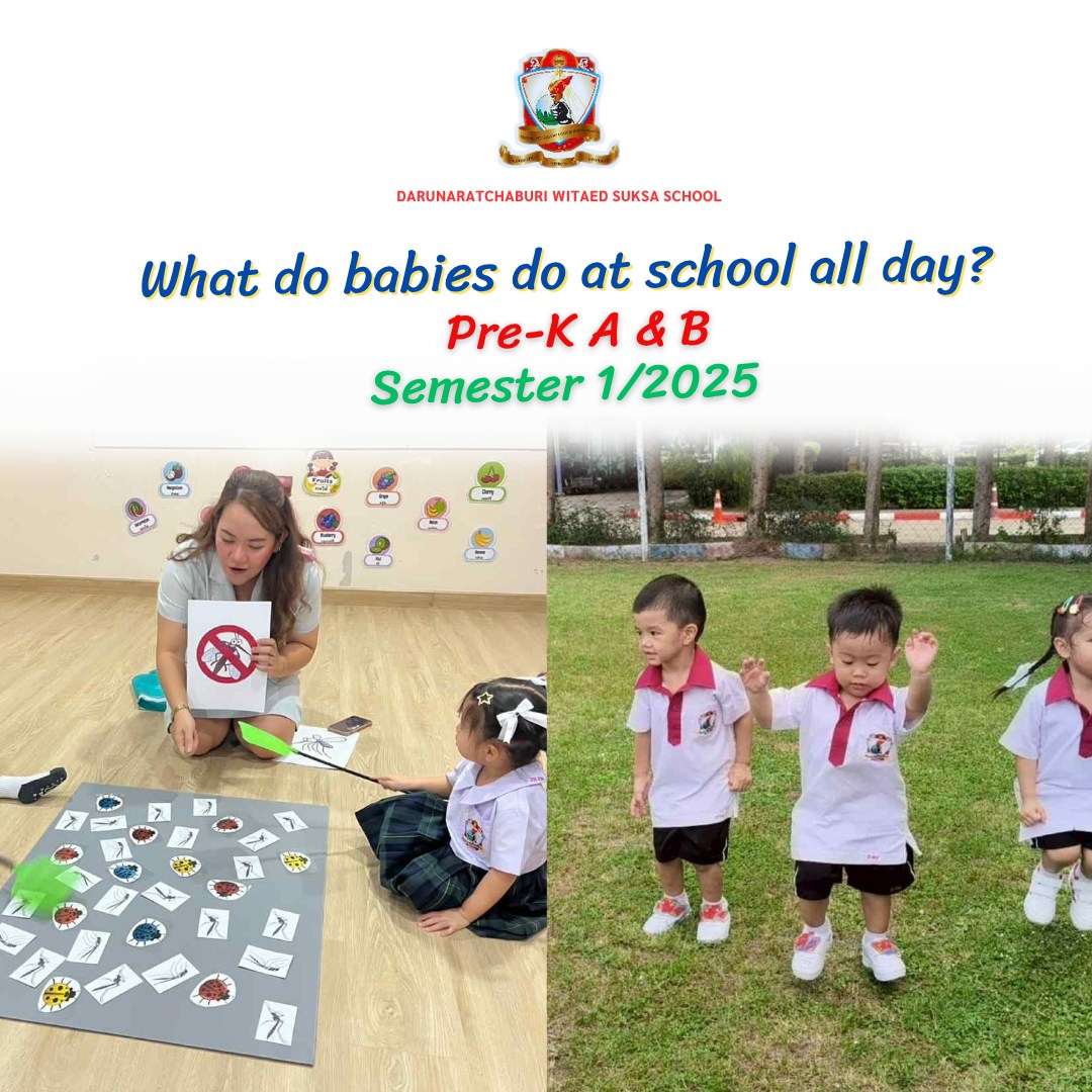 What do babies do at school all day?